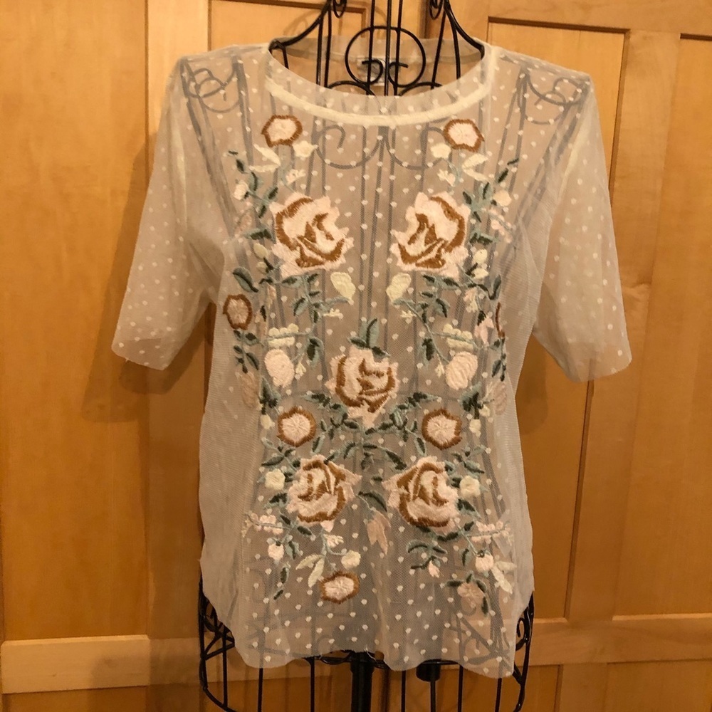 Park & Lex Sheer Embroidered Cream Crop Top Small